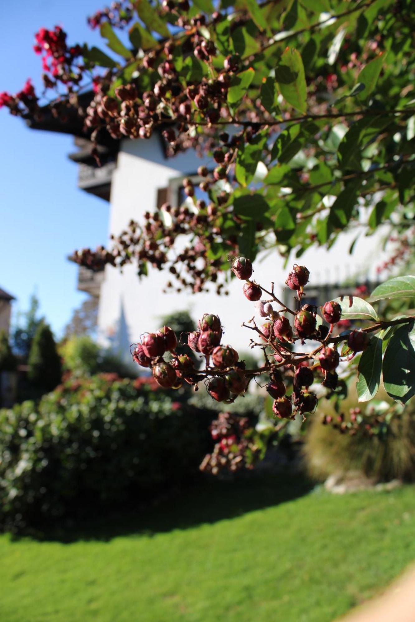 Appartments Innerhofer Rifiano Bagian luar foto